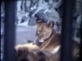 New Zealand 1979 Cine Film