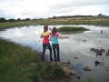 falling in the duck pond