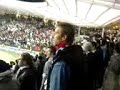 Slovenija - BiH; Navijanje