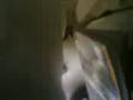 videos de uet Bannu Campus-strike memories!!