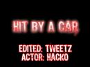 Hit By a Car Hit By a Car
