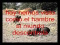 juicio final