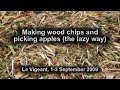 Apples and wood chips (MPEG-4 low-quality)