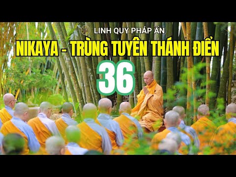 NIKAYA - Trùng Tuyên Thánh Điển 36 (09.12.2025)