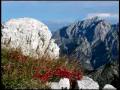 FAGARAS.avi