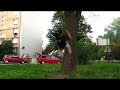 Vision Of Movement - Teaser '08