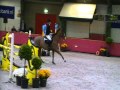 Topan Wanroij 1.30m