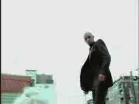 humus - mos