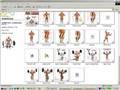 Free-BodyBuilding-Mu
