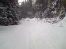 Millinocket 2008