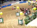 Indoor Horses Combined Driving (Toronto) - Chester Weber