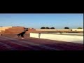 parkour spider boy-fkih ben salah-fbs
