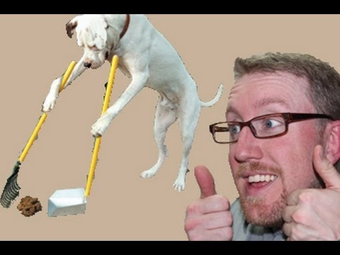 how to collect puppy stool sample