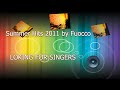 SUMMER HITS 2011 / 2012