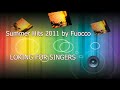 SUMMER HITS 2011 / 2012