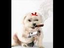 funny random stuff