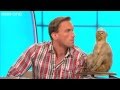 Christian Jessen's Stuffed Monkey - Would I Lie To You? - Series 6 Episode 5 - BBC One