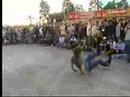 Game Of Skate Koston Vs P-Rod Game Of Skate Koston Vs P-Rod