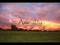 nichiren-buddhism-chanting-music-by-alan-smallwood.html