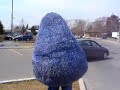 [Video]