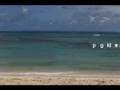 Clip Jocelyn Deloumeaux Danse pour moi