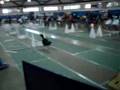 Dog Sports Flyball Team - Winter WufFest-