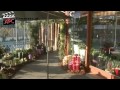 Floristik- und Blumenladen Pürstner KG in Kaindorf an der Sulm, Leibnitz