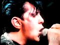 ivan cattaneo made in italy live 1981
