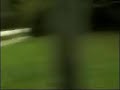 Oma vs. Mercedes