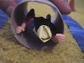 1999 (?) Monster House Climax Action Figure Animatic