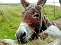 Clare Island Slideshow