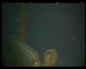 Last Mysteries of The TITANIC Part 6