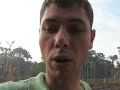 Amazônia: a árvore que você não viu Amazônia: a árvore que você não viu