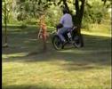 87-Husky-video