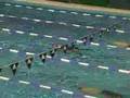 DKM 2007 Finale 100m Lagen M�nner