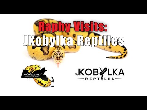 YouTube reptile video