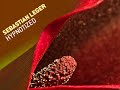 Sebastian Leger feat. Gia Mellish - Hypnotised [Dj Spen & Th Sebastian Leger feat. Gia Mellish - Hypnotised [Dj Spen & Th