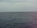 Tuna fishing trip