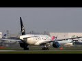 Star Alliance United Airlines / ??????????????????? Star Alliance United Airlines / ???????????????????