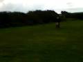 harry trials bike wheelie