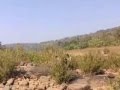 Mahal-Dang eco tourism gujarat India-part-1 - YouTube