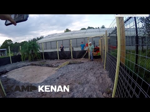 YouTube reptile video