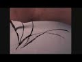 Chinese Painting Tutorial - Orchid on hemp paper Chinese Painting Tutorial - Orchid on hemp paper