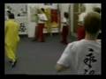 Chi Sin Ving Tsun 至善永春拳