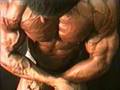 bodybuilding-istvan