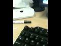 2010-03-06 | Office Pranks with a caterpillar ~> BHahaha was bored at work so i out a catapillar ppls keyboards! haa (<span>0:)