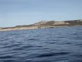 camino a ver las ballenas camino a ver las ballenas