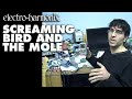 Introducing: Screaming Bird and the Mole
