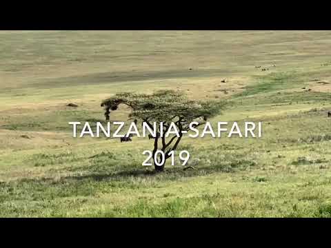 Safari in Tanzania
