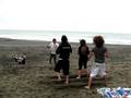 videos de deschlers beached as